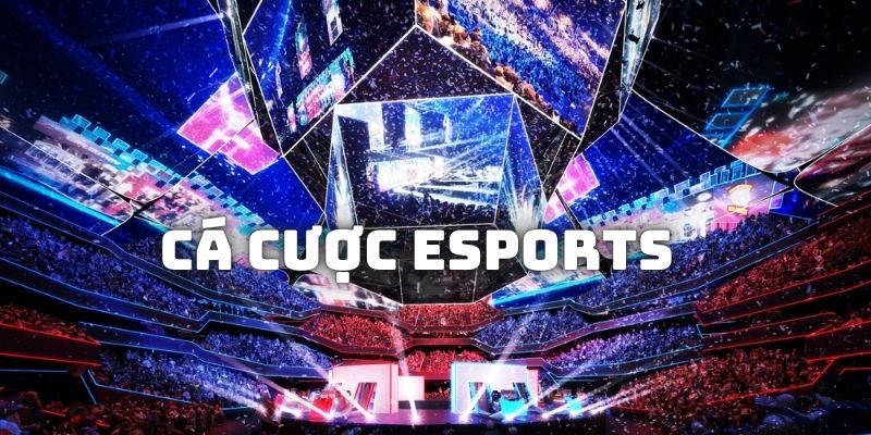 Cách Cá Cược Esport Tại 188BET: Mẹo Chọn Đội, Quản Lý Vốn và Giải Đáp Thắc Mắc