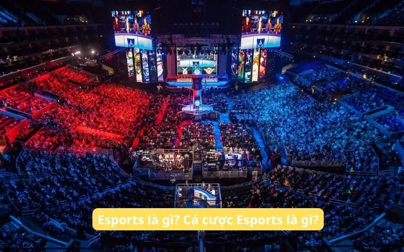 Cách Cá Cược Esport Tại 188BET: Mẹo Chọn Đội, Quản Lý Vốn và Giải Đáp Thắc Mắc